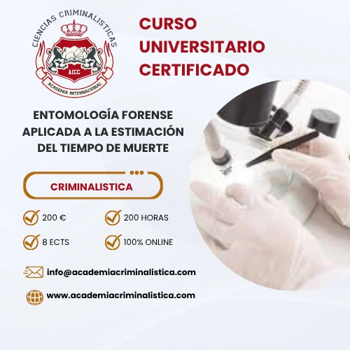 Curso Entomología Forense Aplicada A La Estimación Del Tiempo De Muerte