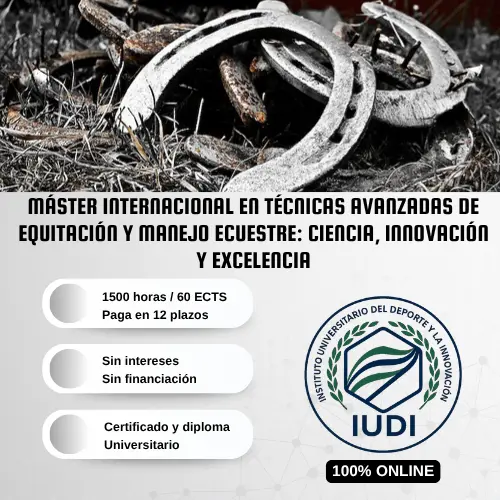 Máster Técnicas Avanzadas Equitación