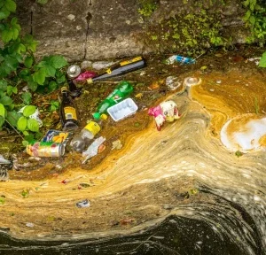 delitos medioambientales