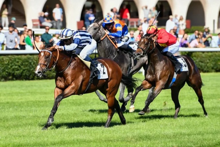 Preparación de caballos de carreras: El método detrás de 7 campeones