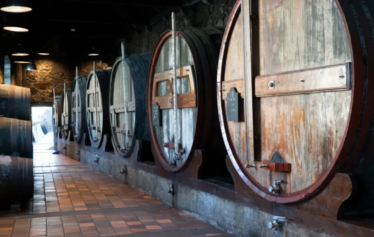 Innovación en el marketing del vino: Cómo atraer jóvenes sin bajar precios