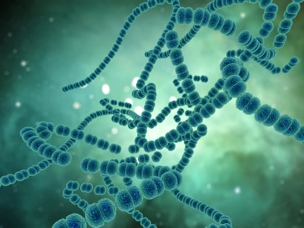 Ilustración 3D de cadenas de bacterias