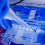Investigador aplicando una muestra de ADN
