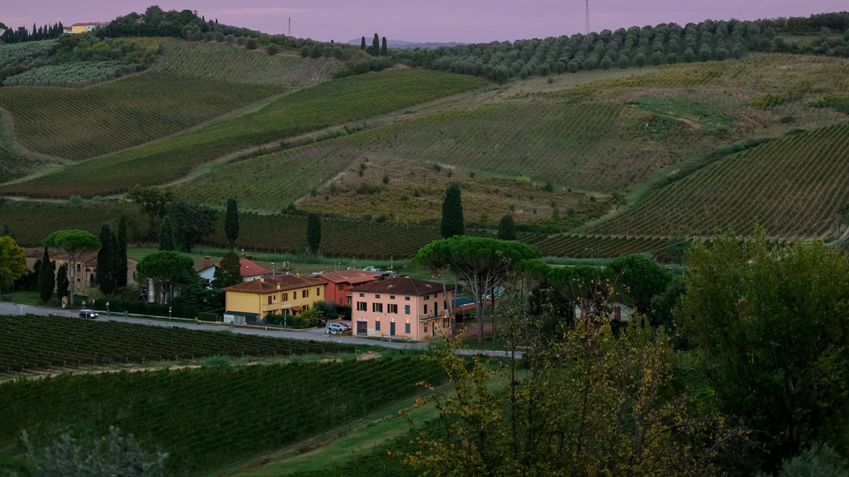 Colinas cubiertas de viñedos y casas rurales bajo un cielo rosado