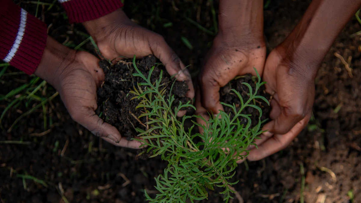 Dos personas plantando una plántula verde en tierra húmeda