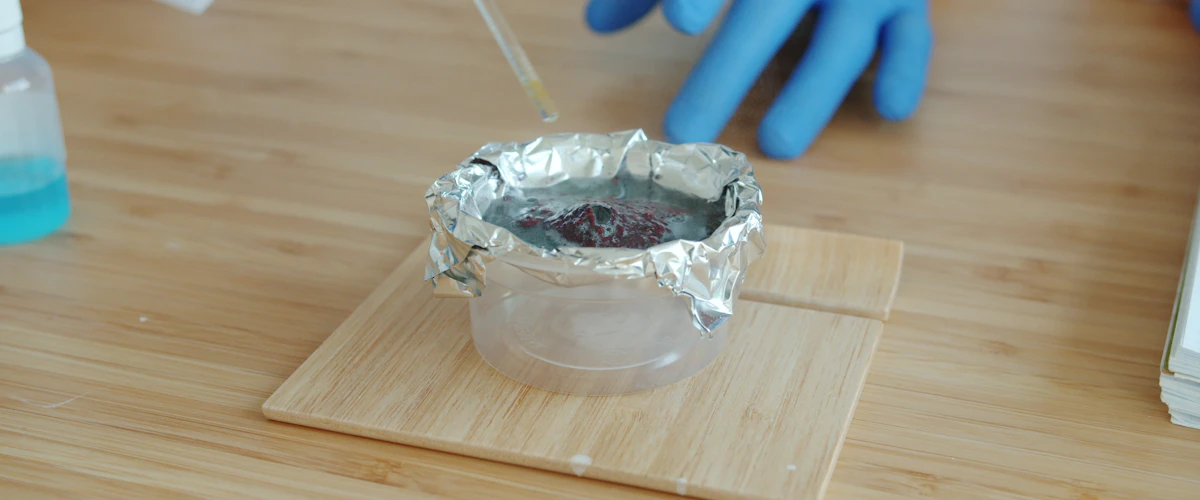 Investigador con guantes azules trabajando con instrumentos de un experimento