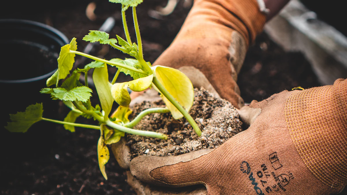 Manos enguantadas colocando una pequeña planta sobre tierra de cultivo