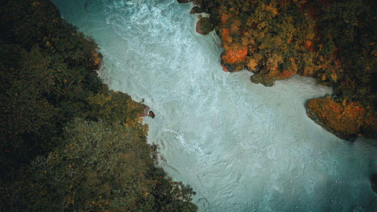 Río de aguas claras entre árboles frondosos de un bosque verde